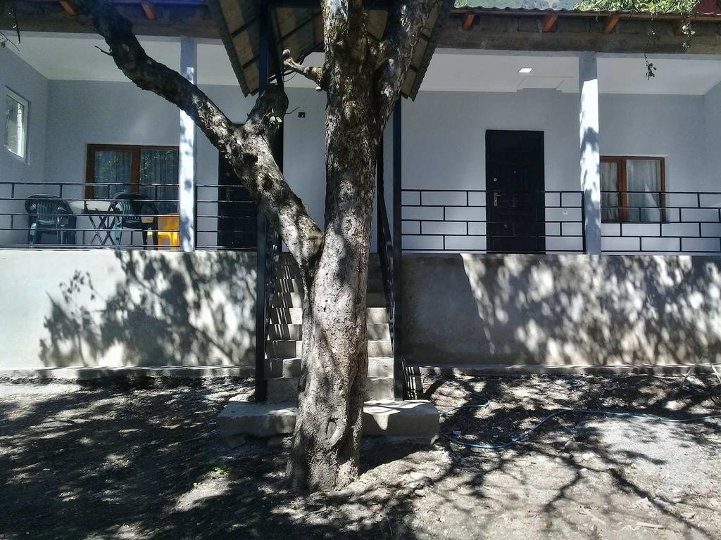 Guesthouse Ori Beli In Mestia Zewnętrze zdjęcie